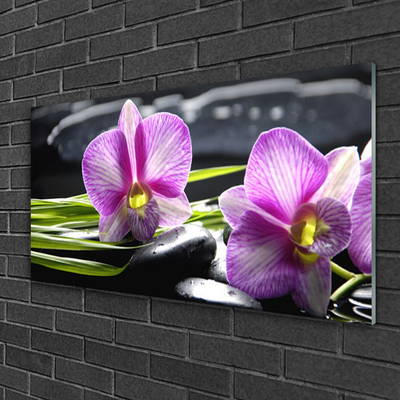 Fali üvegkép Orchid Zen Spa Stones