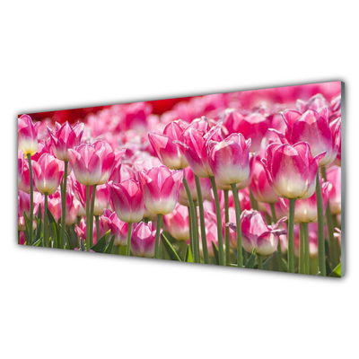Modern üvegkép Tulipán virágok természet