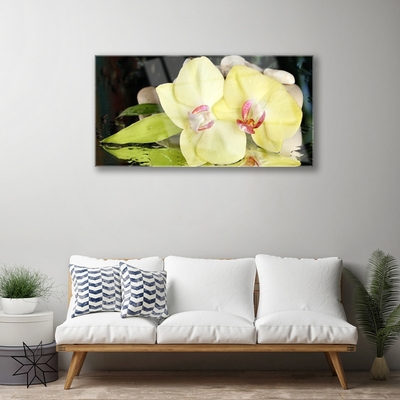 Üvegkép falra Orchidea virág szirmai
