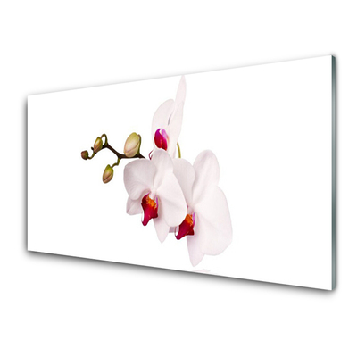 Modern üvegkép Orchidea virágok Természet