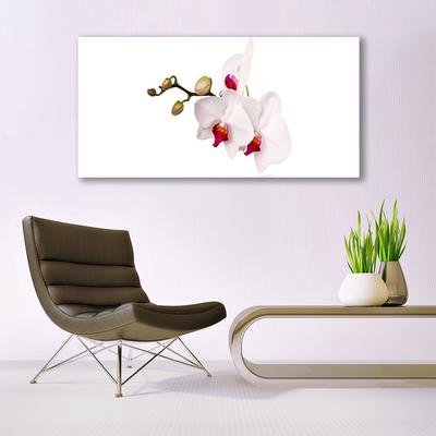 Modern üvegkép Orchidea virágok Természet