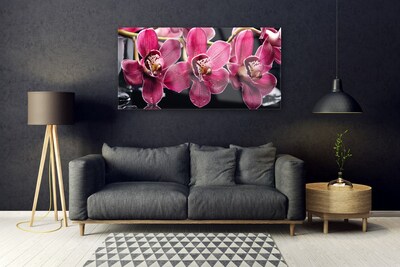 Üvegkép Orchidea Virág Nature Rügyek