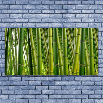 Üvegkép Bambuszrügy Bamboo Forest