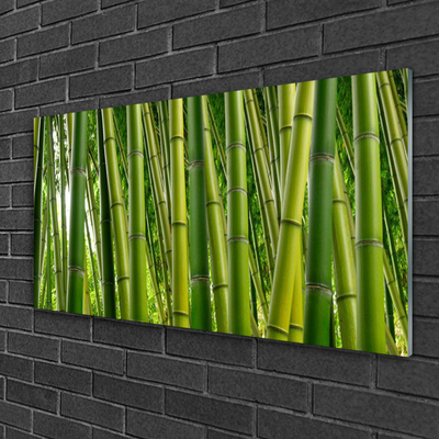 Üvegkép Bambuszrügy Bamboo Forest