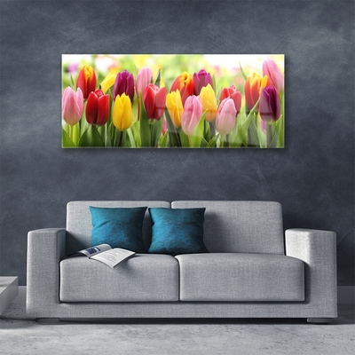 Üvegkép Tulipán virágok természet