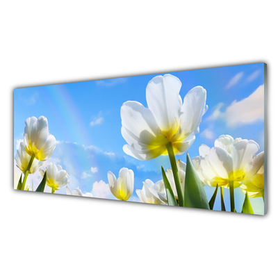 Üvegkép Növények Flowers Tulipán