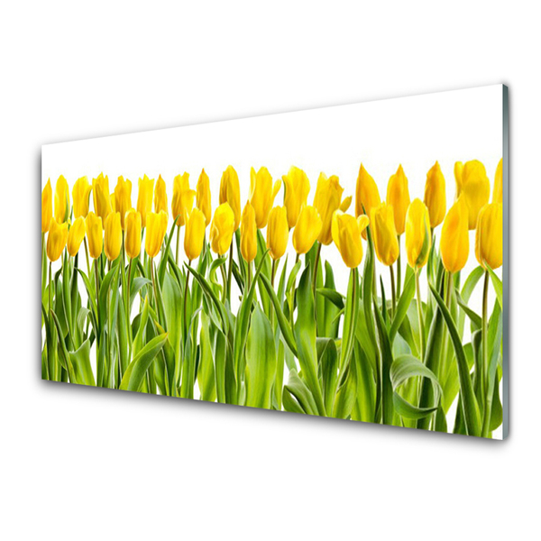 Fali üvegkép Tulipán virágok természet