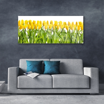 Fali üvegkép Tulipán virágok természet