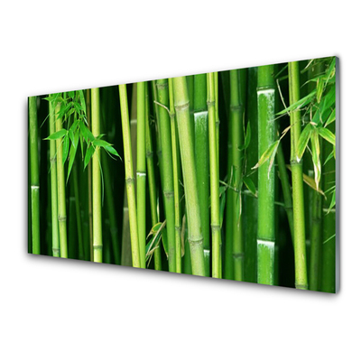 Modern üvegkép Bamboo Bamboo Forest Nature