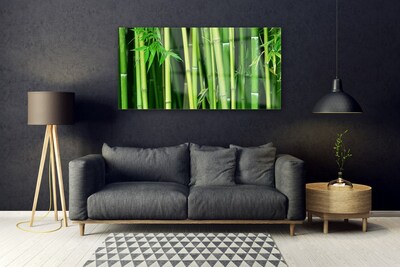 Modern üvegkép Bamboo Bamboo Forest Nature