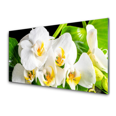 Üvegkép Orchidea virágok Természet