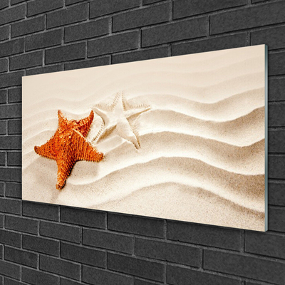 Üvegkép Starfish on Sand Beach