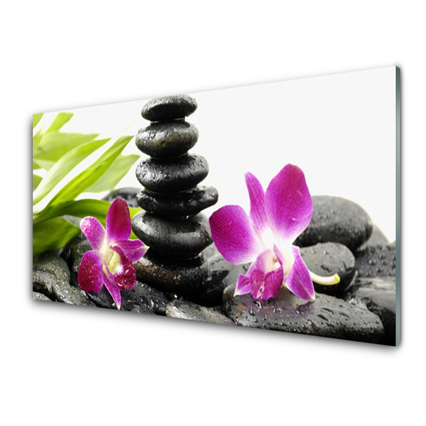 Üvegkép Orchid Zen Spa Stones