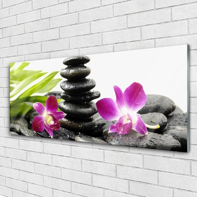Üvegkép Orchid Zen Spa Stones