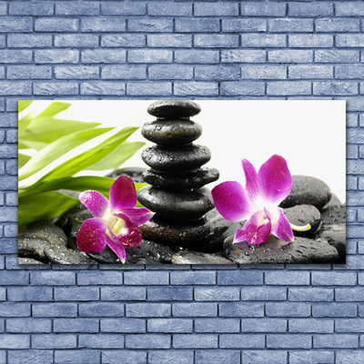 Üvegkép Orchid Zen Spa Stones