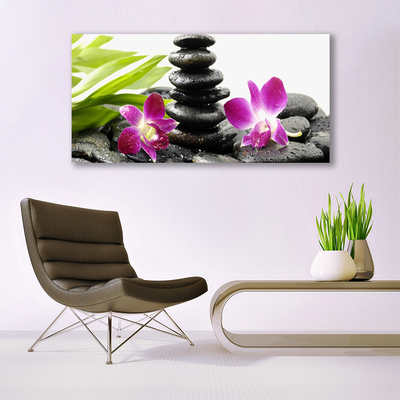 Üvegkép Orchid Zen Spa Stones