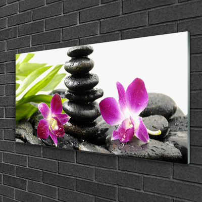 Üvegkép Orchid Zen Spa Stones