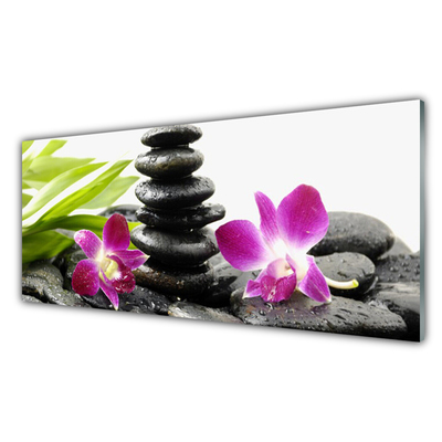 Üvegkép Orchid Zen Spa Stones