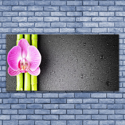 Fali üvegkép Bamboo Orchid Virág