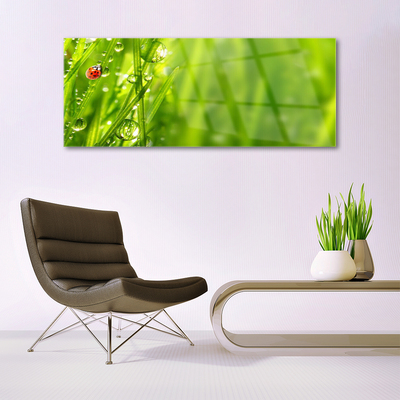 Fali üvegkép Grass Nature katicabogár