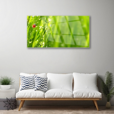 Fali üvegkép Grass Nature katicabogár