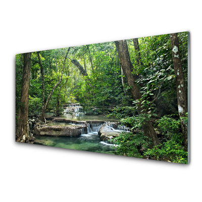 Üvegkép falra Erdő Erdő Természet