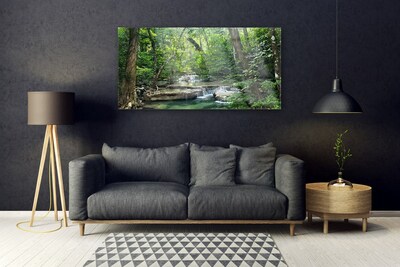 Üvegkép falra Erdő Erdő Természet
