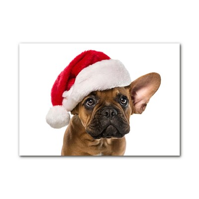 Üvegképek Bulldog karácsonyi kutya