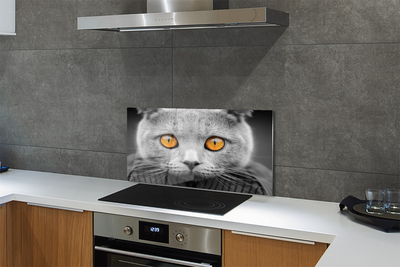 Konyhai üveg panel Gray brit macska