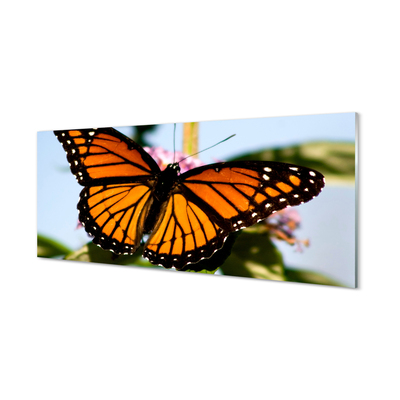 Konyhai üveg panel színes pillangó