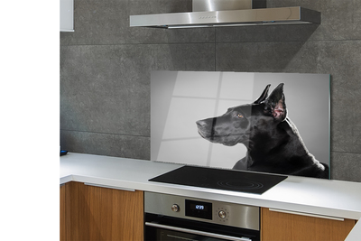 Konyhai üveg panel Fekete kutya