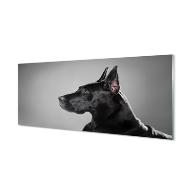 Konyhai üveg panel Fekete kutya