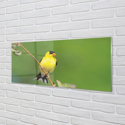 Konyhai üveg panel sárga papagáj