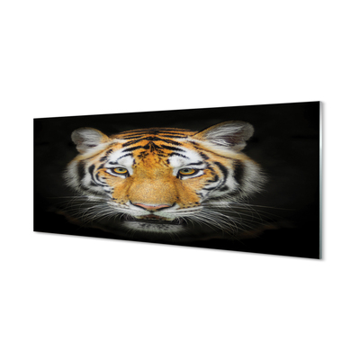 Konyhai üveg panel Tigris