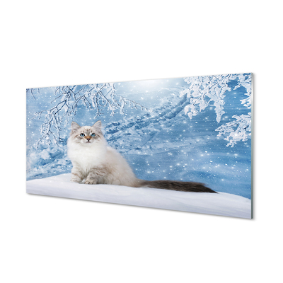 Konyhai üveg panel macska télen
