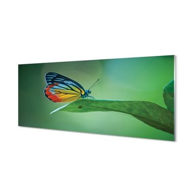 Konyhai üveg panel Színes pillangó levél