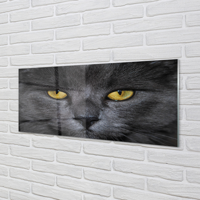 Konyhai üveg panel Fekete macska
