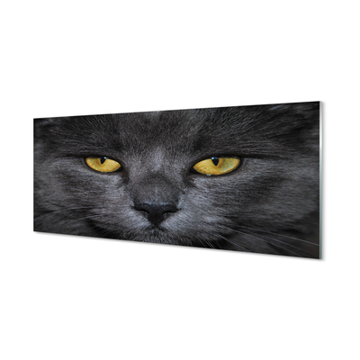 Konyhai üveg panel Fekete macska