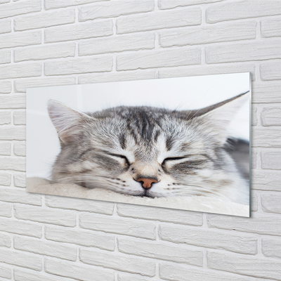 Konyhai üveg panel álmos macska
