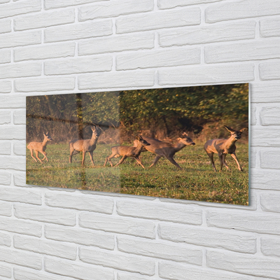 Konyhai üveg panel Deer Golf napkelte