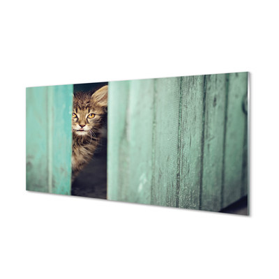 Konyhai üveg panel Zaglądający macska