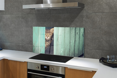 Konyhai üveg panel Zaglądający macska