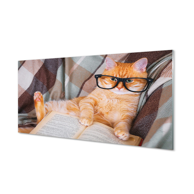 Konyhai üveg panel Az olvasó macska