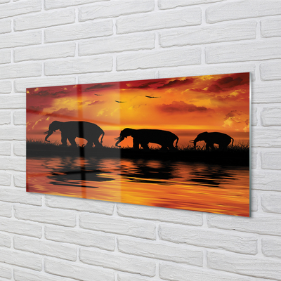 Konyhai üveg panel West Lake elefántok