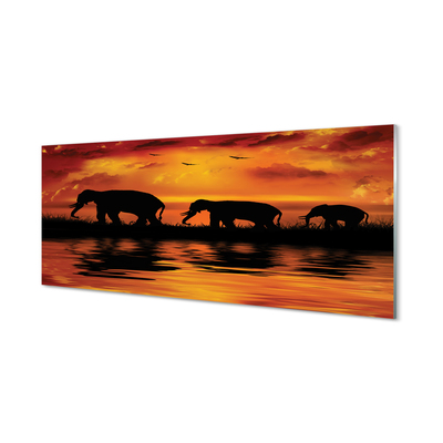 Konyhai üveg panel West Lake elefántok