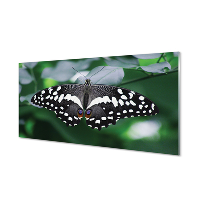 Konyhai üveg panel Színes pillangó levelek