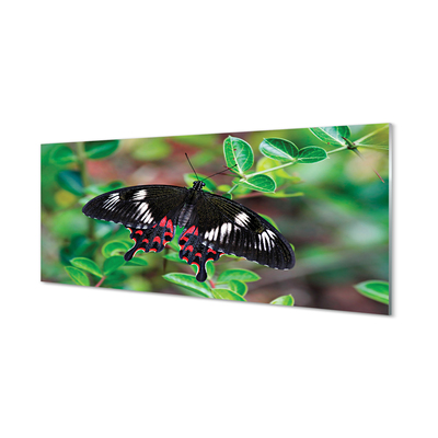 Konyhai üveg panel A levelek színes pillangó