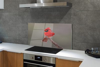 Konyhai üveg panel Piros papagáj egy ágon