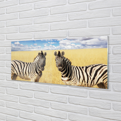 Konyhai üveg panel zebra box