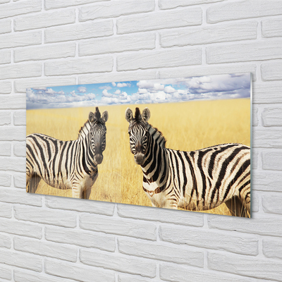 Konyhai üveg panel zebra box